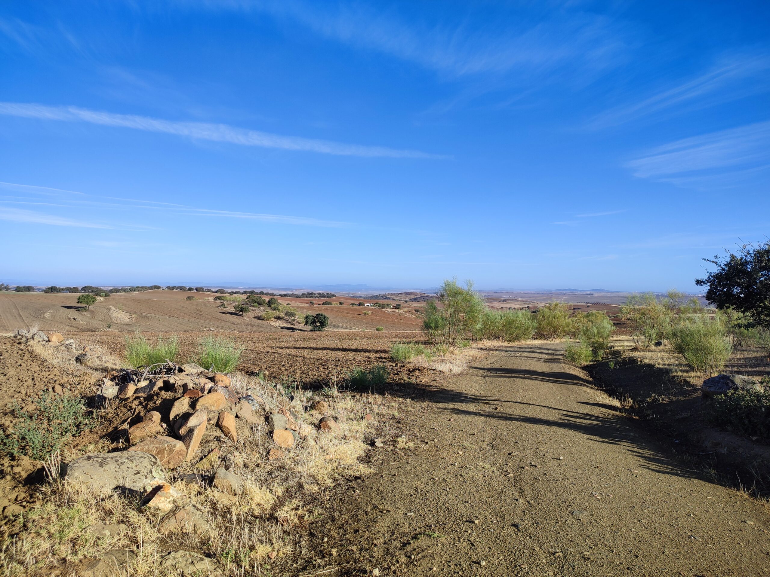 Beitragsfoto, 5. Tag