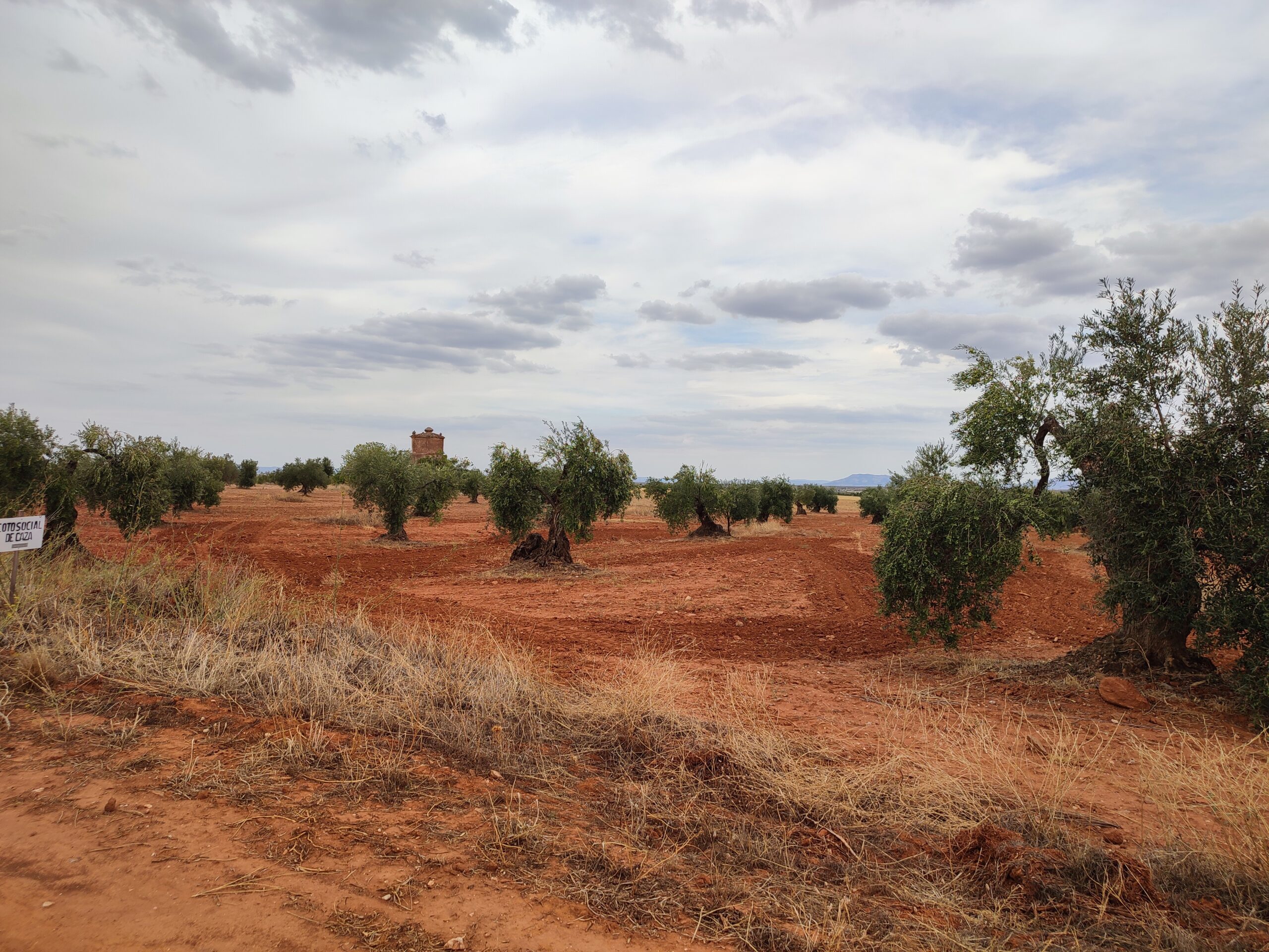 Beitragsfoto, 5. Tag