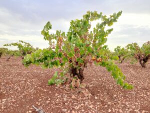 Beitragsfoto, 6. Tag