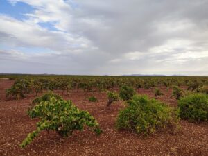 Beitragsfoto, 6. Tag