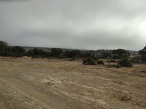 Beitragsbild 12. Tag