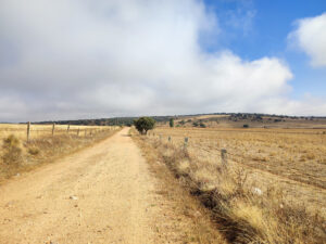 Beitragsbild 12. Tag