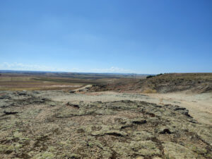 Beitragsbild 12. Tag