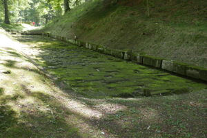 Sarmitzegetuza regia